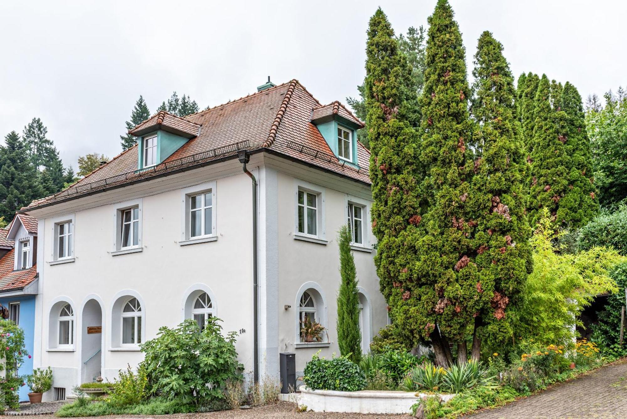 Appartement Waldhorn Баденвайлер Екстер'єр фото